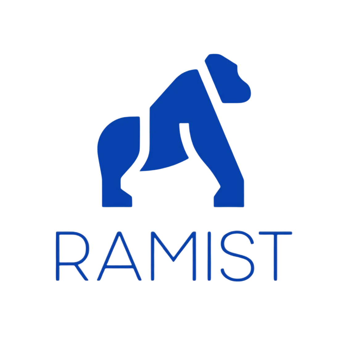 CORPORACIÓN RAMIST SRL